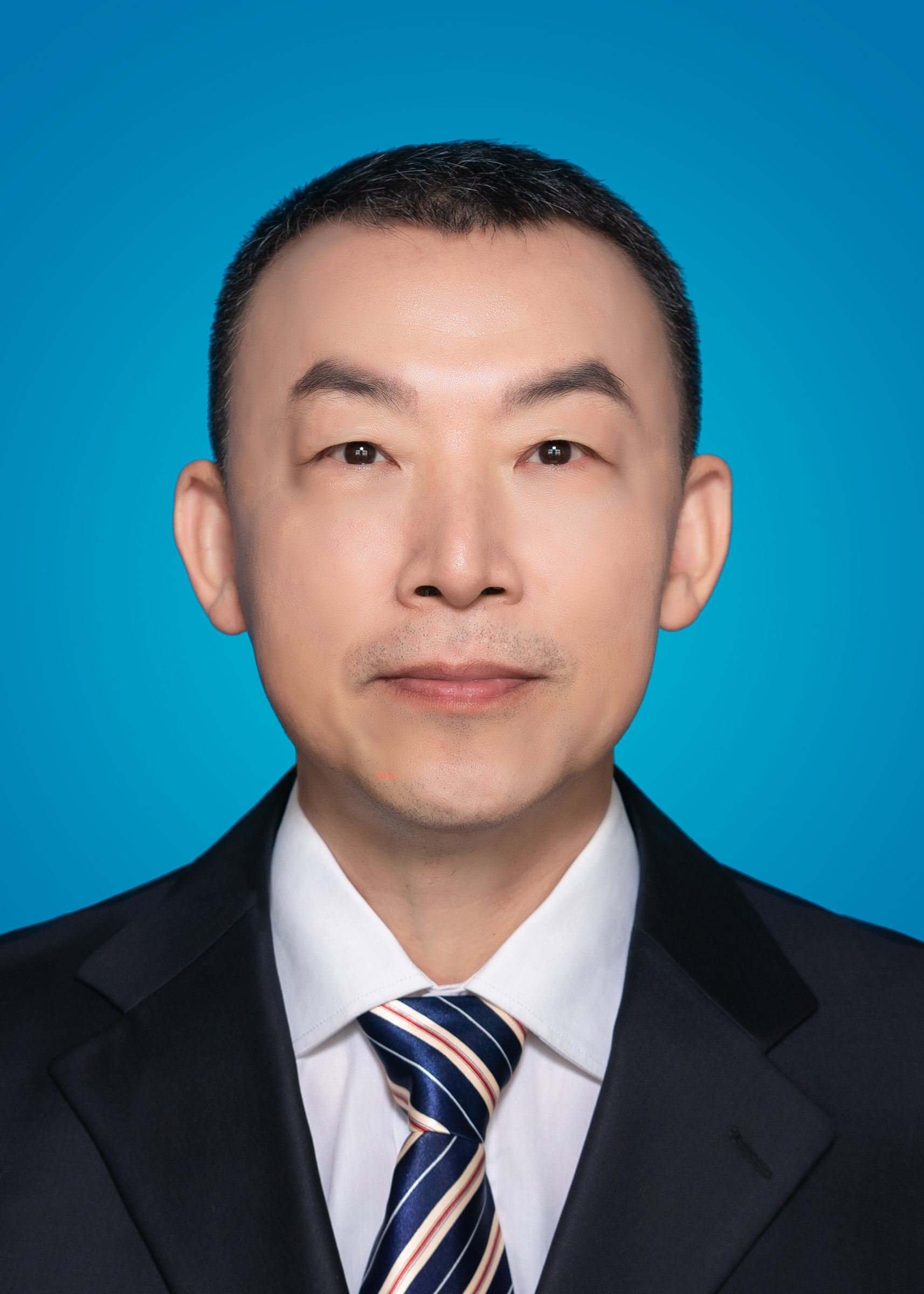 Prof. Hongxing Zheng Vice Chair