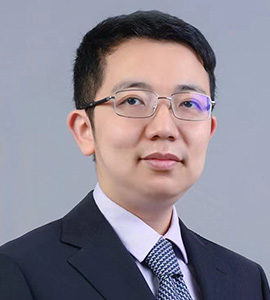 Prof. Yu Luo